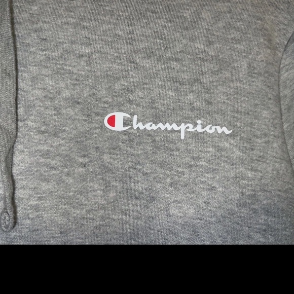 Men’s Medium Champion Hoodie NWOT - Picture 2 of 6